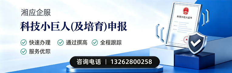 河北科技小巨人及培育企业申报服务