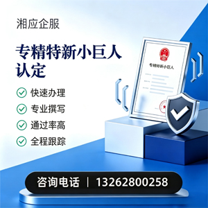 河北专精特新小巨人申报服务