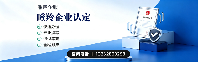 河北瞪羚企业认定申报服务