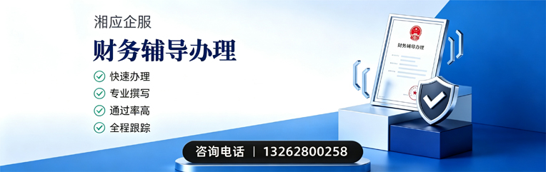 河北财务辅导申请服务