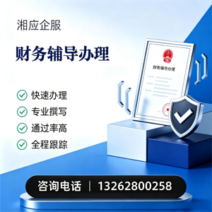 河北财务辅导申请服务