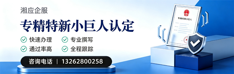 河北专精特新小巨人申报服务